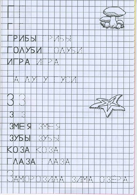 Печатные буквы г, з раскраски морская звезда, грибы