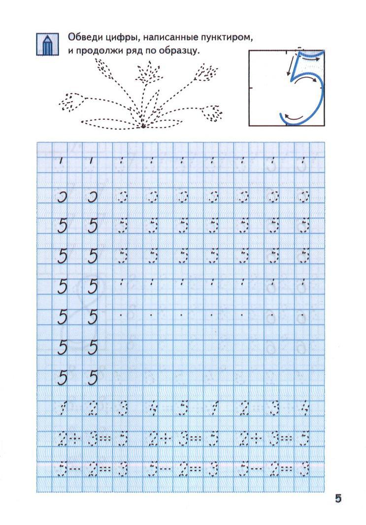 Прописи цифра 5, пять цветочков раскраска